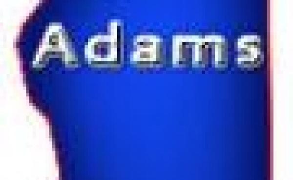 Adams County Wisconsin Property for Sale by Snowmobiling