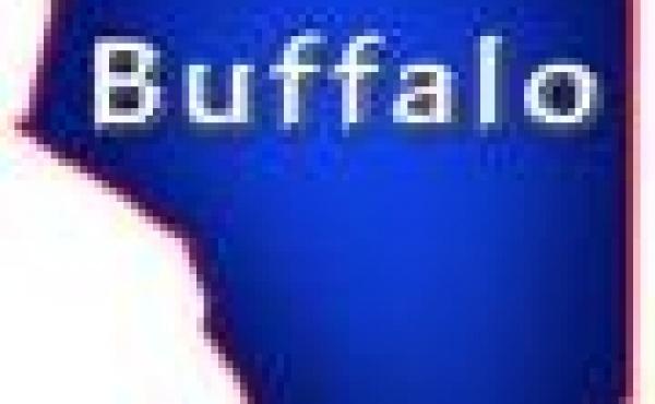 Buffalo County Wisconsin Property for Sale by Snowmobiling