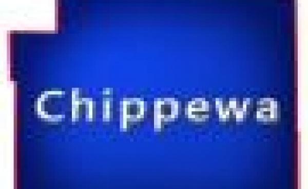 Chippewa County Wisconsin Property for Sale by Snowmobiling