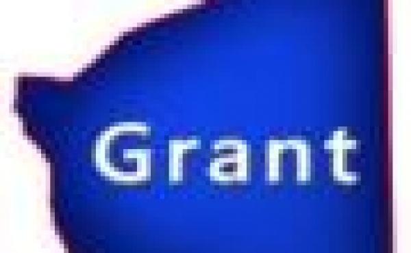 Grant County Wisconsin Property for Sale by Snowmobiling