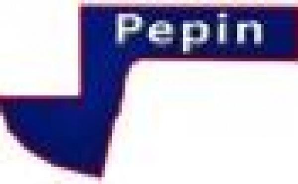 Pepin County Wisconsin Property for Sale by Snowmobiling