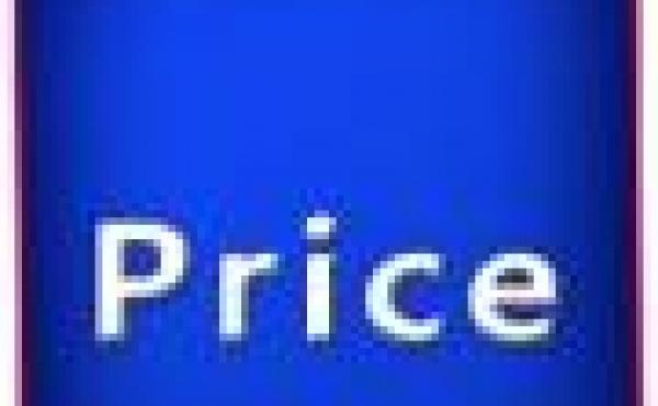 Price County Wisconsin Property for Sale by Snowmobiling