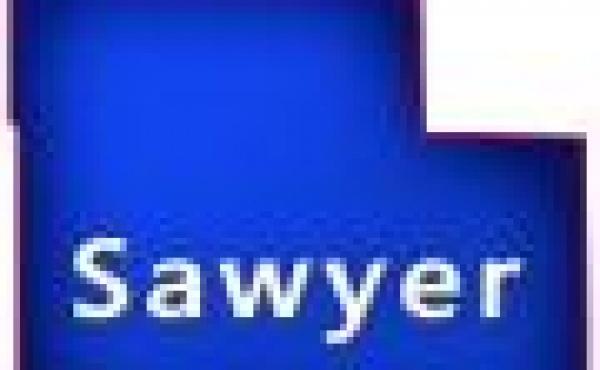 Sawyer County Wisconsin Property for Sale by Snowmobiling