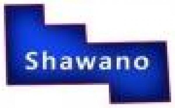 Shawano County Wisconsin Property for Sale by Snowmobiling