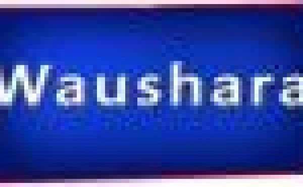 Waushara County Wisconsin Property for Sale by Snowmobiling