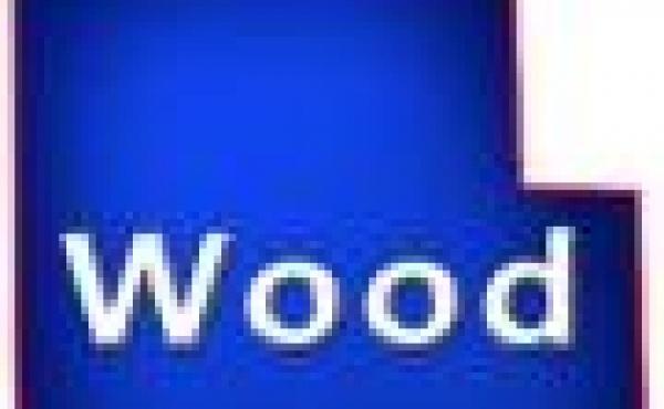 Wood County Wisconsin Property for Sale by Snowmobiling